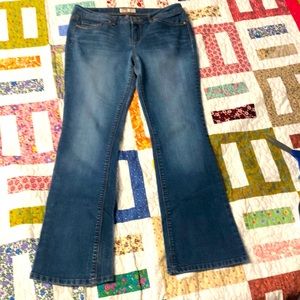 lei Ashley low rise slim bootcut juniors size 11 regular
